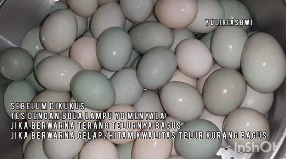 Bukan direbus, ini trik mematangkan telur asin agar tidak mudah busuk sampai 10 hari