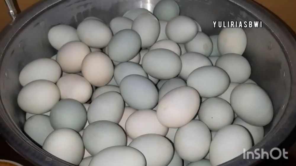 Bukan direbus, ini trik mematangkan telur asin agar tidak mudah busuk sampai 10 hari