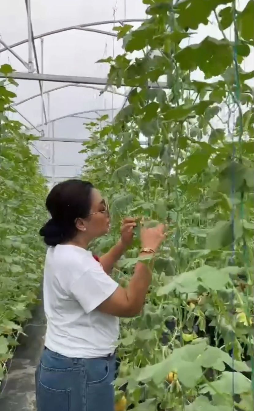 potret kebun mayangsari © instagram