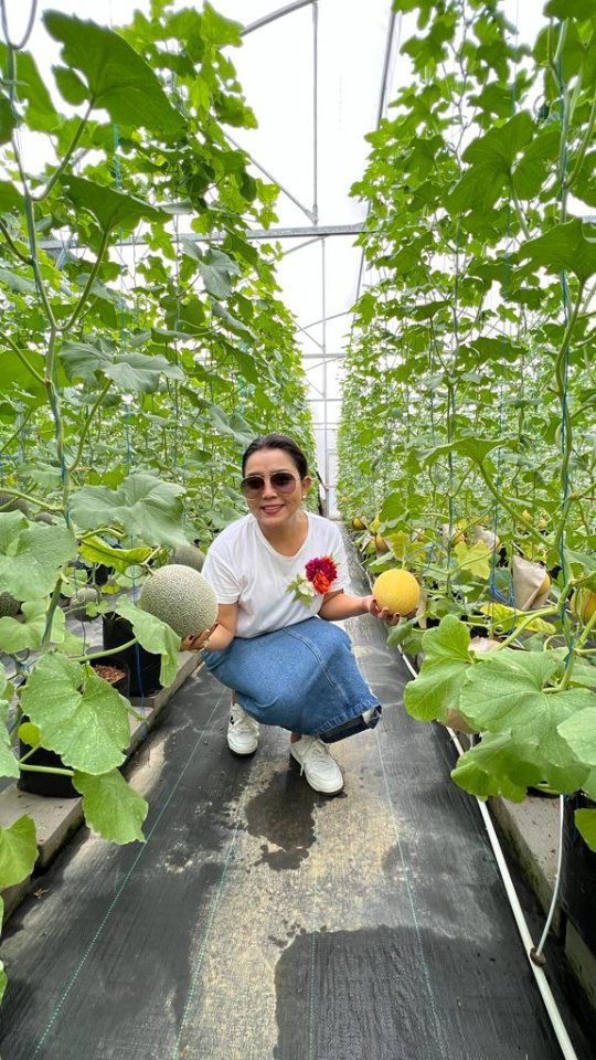 potret kebun mayangsari © instagram