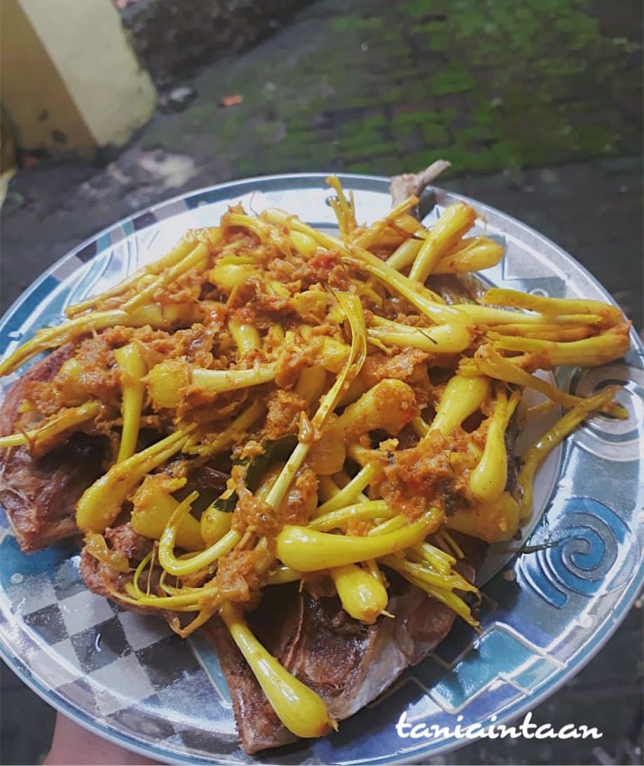 15 Resep masakan ikan kuwe, lembut, enak, dan menggugah selera