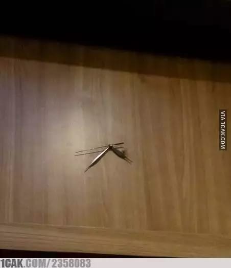 jam ini bikin yang ngelihat malah lupa waktu © berbagai sumber jam ini bikin yang ngelihat malah lupa waktu © berbagai sumber