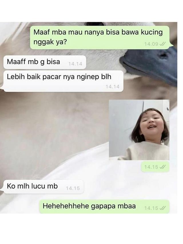 11 chat lucu dengan pemilik kos © berbagai sumber 11 chat lucu dengan pemilik kos © berbagai sumber