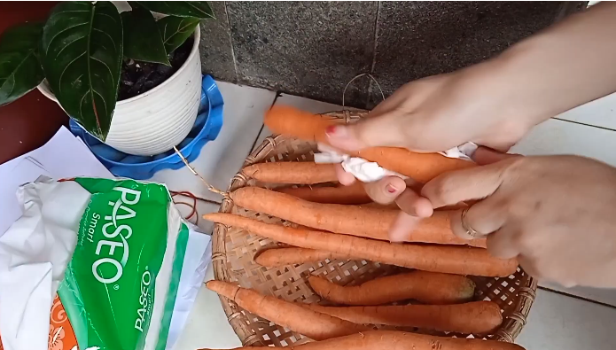 Nyetok sayuran tak sia-sia, cara mudah menyimpan wortel utuh agar tetap segar dan tahan berbulan-bulan
