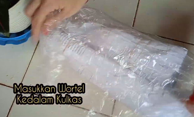Nyetok sayuran tak sia-sia, cara mudah menyimpan wortel utuh agar tetap segar dan tahan berbulan-bulan
