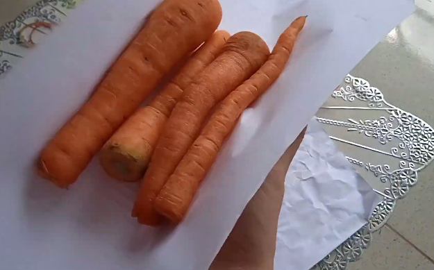 Nyetok sayuran tak sia-sia, cara mudah menyimpan wortel utuh agar tetap segar dan tahan berbulan-bulan