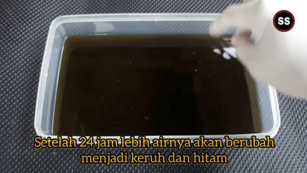 Tanpa digosok, ini cara ampuh hilangkan karat di pisau besi pakai satu bahan