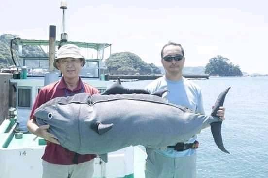 potret kocak lagi mancing © berbagai sumber potret kocak lagi mancing © berbagai sumber