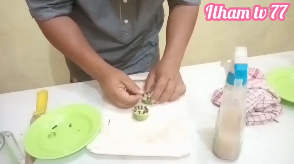 Pakai 2 rempah dapur, begini cara mengusir lalat di makanan secara alami