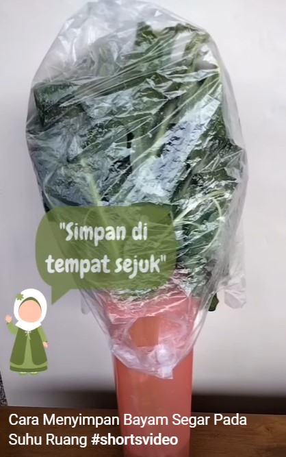 Cara menyimpan bayam tanpa kulkas ini bikin daunnya tak layu dan tetap hijau hingga 4 hari