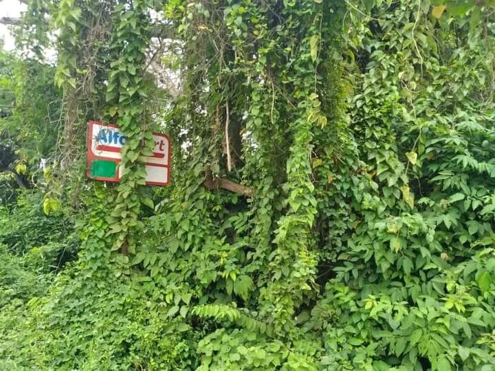 potret kocak lapak pedagang Berbagai sumber