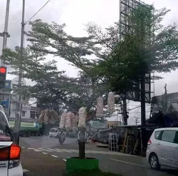 potret kocak lapak pedagang Berbagai sumber