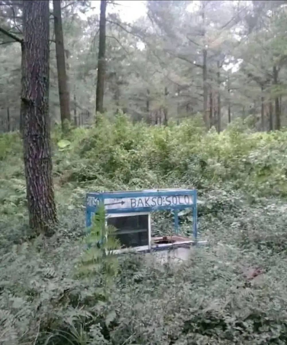 potret kocak lapak pedagang Berbagai sumber