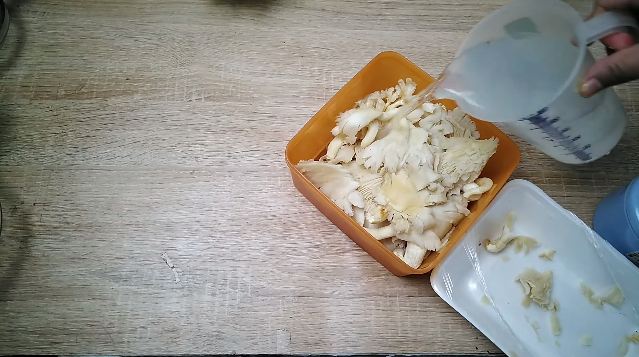 Pakai 1 bahan dapur, ini trik simpan jamur tiram agar tetap segar dan tidak busuk hingga 10 hari