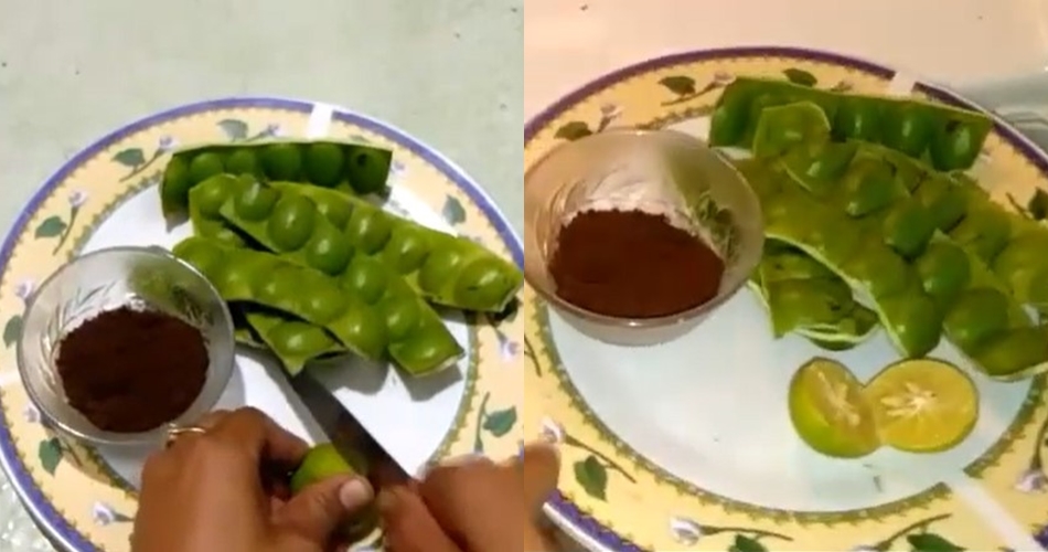 Cara jitu menyimpan petai supaya nggak bikin kulkas bau cuma pakai 2 bahan