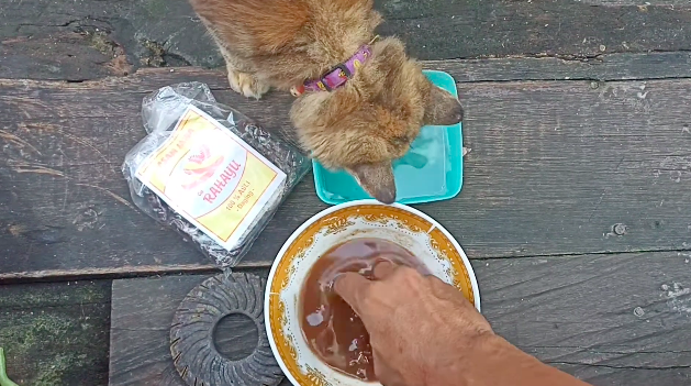 Pakai 1 bahan dapur, ini cara ampuh hilangkan karat di burner kompor gas