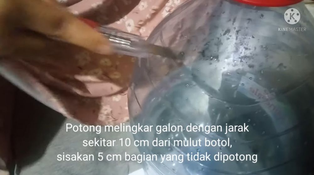 Bermodal galon bekas, begini cara praktis bikin dispenser beras antikutu
