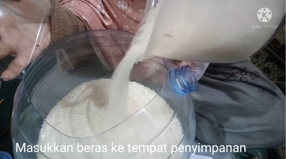 Bermodal galon bekas, begini cara praktis bikin dispenser beras antikutu