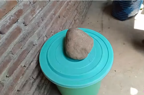 Bukan pakai obat, ini cara cepat mematangkan mangga secara alami