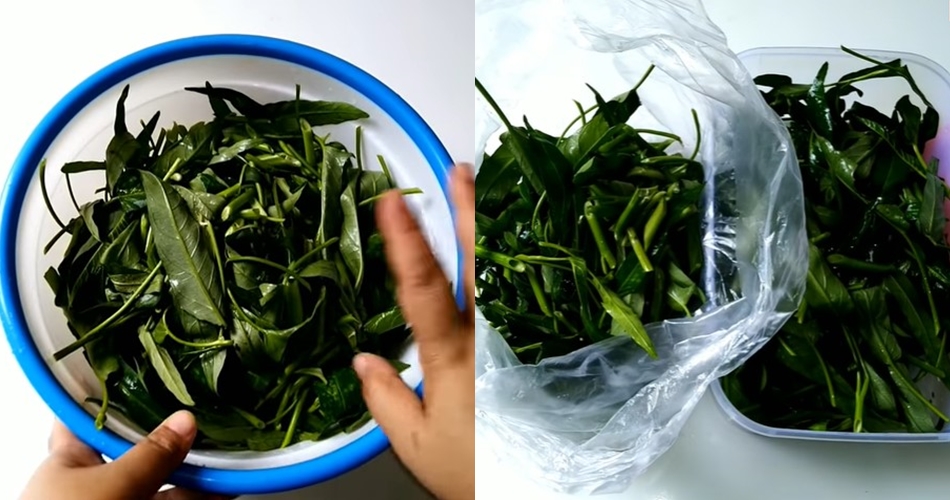 Cara menyimpan sayur kangkung supaya tak layu dan menguning hingga 1 minggu