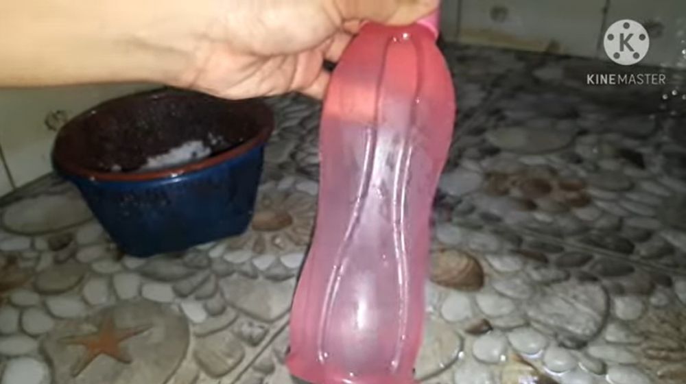 Tanpa perlu disikat, ini trik jitu bersihkan bagian dalam botol minum penuh lumut pakai 3 bahan