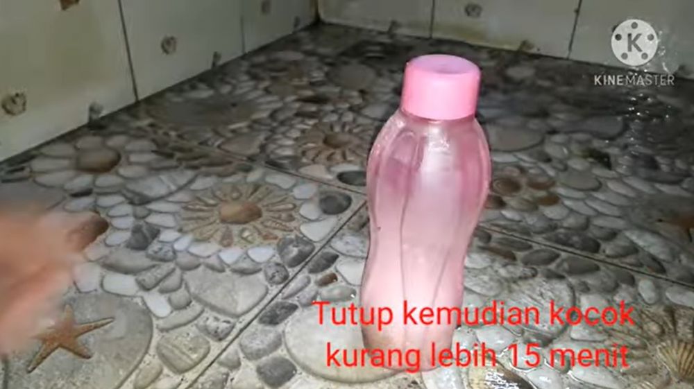 Tanpa perlu disikat, ini trik jitu bersihkan bagian dalam botol minum penuh lumut pakai 3 bahan