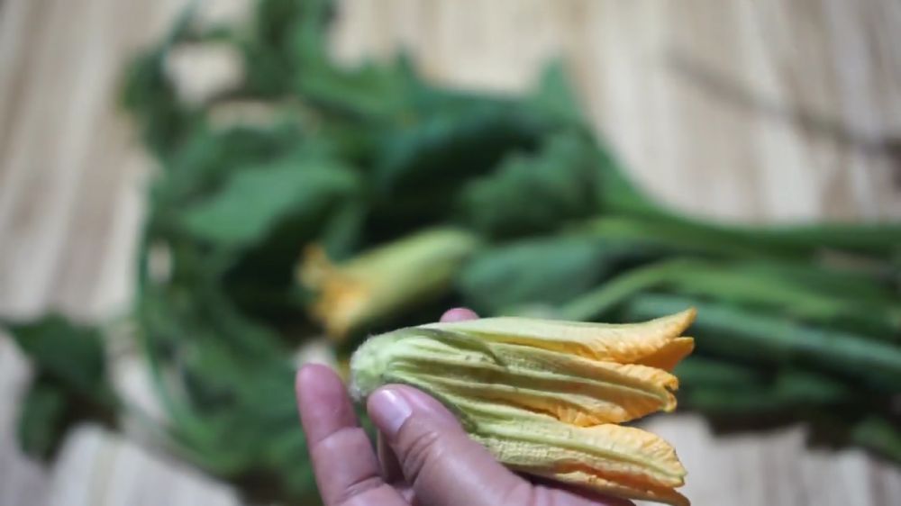 Trik membersihkan daun pucuk labu kuning agar empuk, tidak bikin gatal, dan warnanya tetap hijau