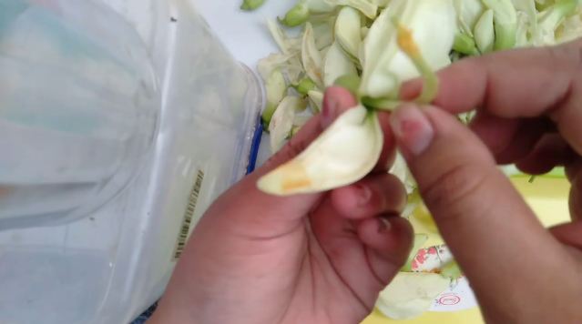 Tanpa perlu direbus, ini trik mengolah bunga turi agar enak dan tidak pahit saat disajikan