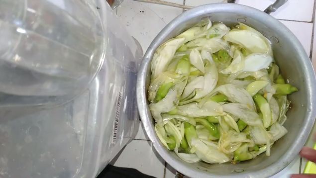 Tanpa perlu direbus, ini trik mengolah bunga turi agar enak dan tidak pahit saat disajikan