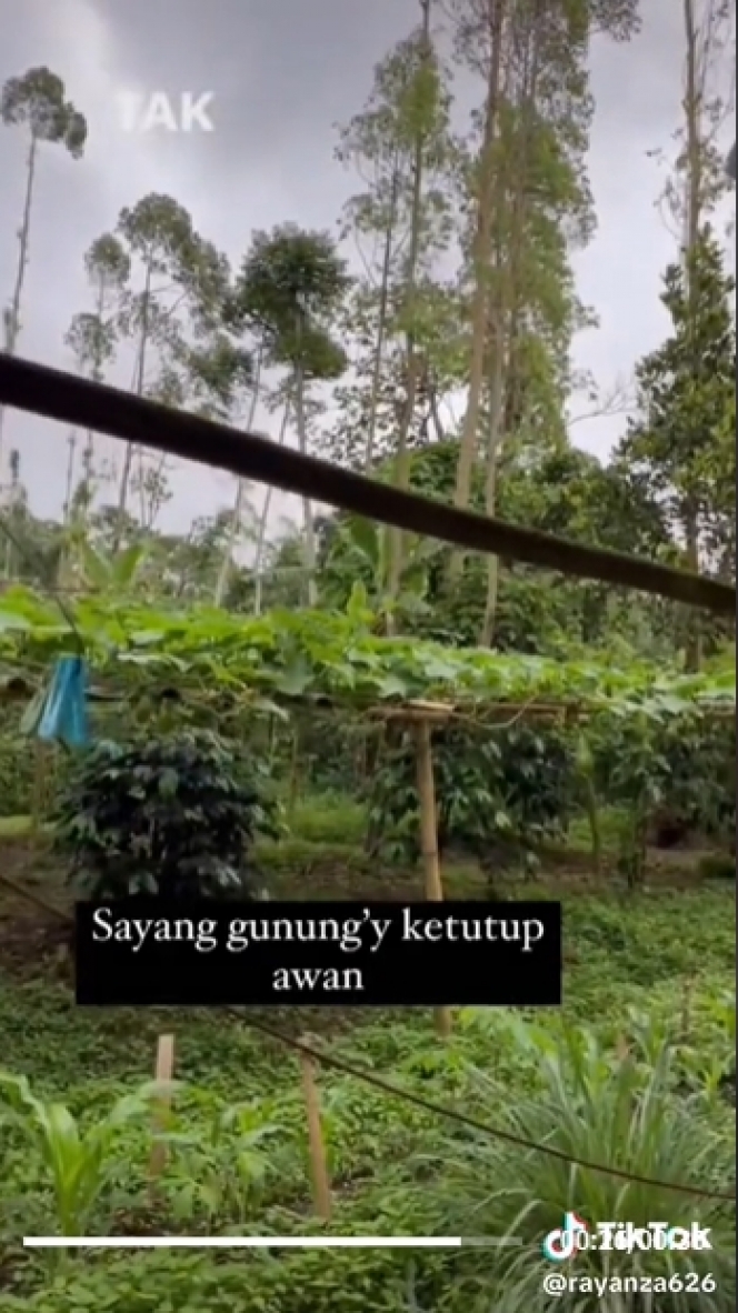 potret rumah Sus Rini pengasuh Rayyanza di kampung © 2023 brilio.net