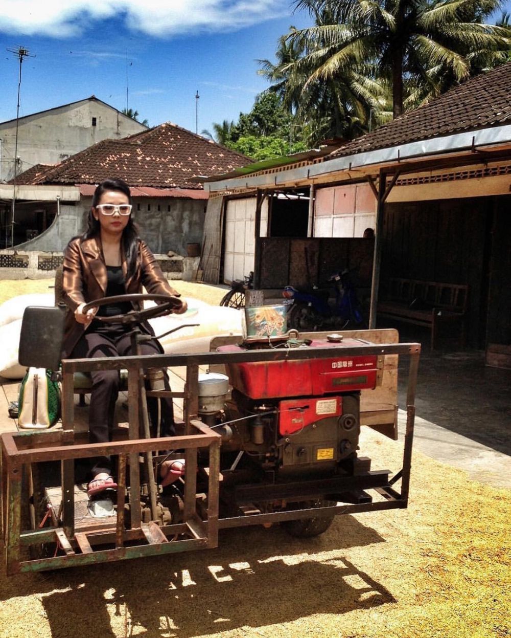 kerajaan bisnis soimah © berbagai sumber