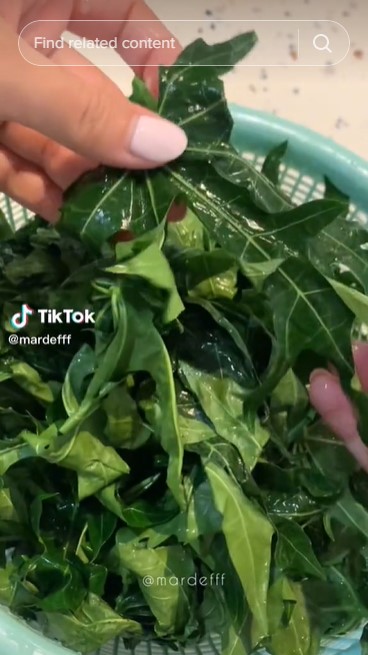 Tak perlu baking soda atau tanah liat, ini cara mengolah daun pepaya supaya tak pahit