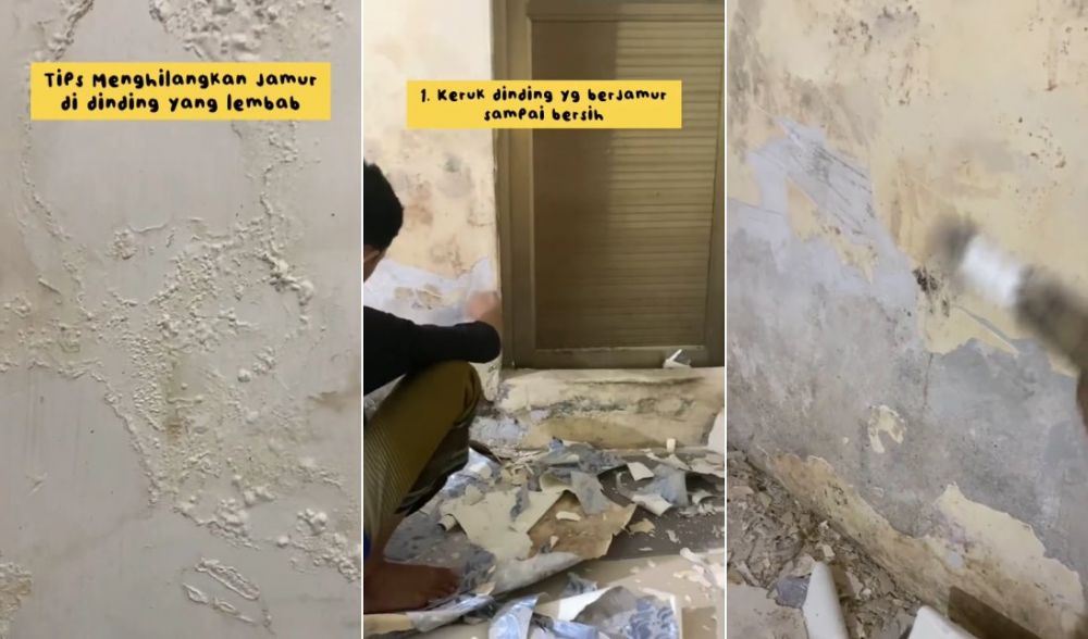 cara atasi dinding berjamur © TikTok cara atasi dinding berjamur © TikTok