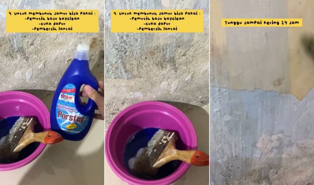 Manfaatkan satu bahan dapur, ini cara ampuh bersihkan jamur di dinding lembab supaya jadi baru lagi