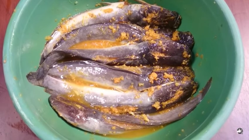 Trik goreng ikan lele supaya gurih sampai ke dalam, tak hancur, dan renyah meski tanpa tepung