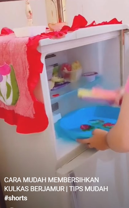 Trik basmi jamur di bagian dalam kulkas, ampuh pakai 1 bahan dapur