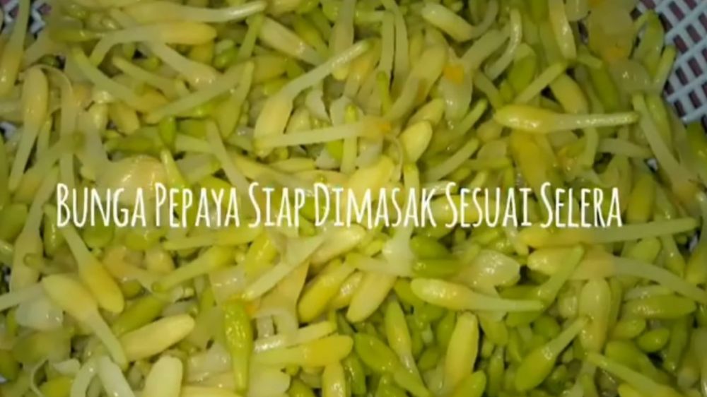 Tanpa asam jawa dan daun jambu biji, ini trik ampuh hilangkan rasa pahit bunga pepaya