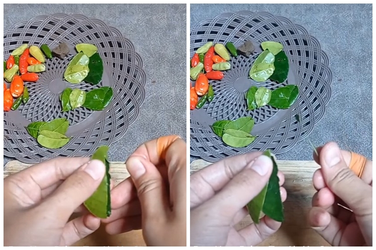 Bukan pakai pisau, begini cara mudah buang tulang daun jeruk agar tak pahit saat diolah