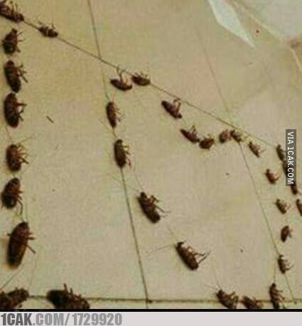 nembak gebetan ini caranya nggak biasa © berbagai sumber