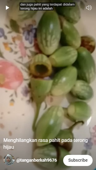 Tak perlu bahan tambahan, begini cara menghilangkan rasa pahit pada terong hijau