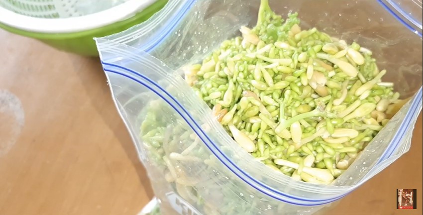 Cara menyimpan bunga pepaya supaya tidak menguning dan tetap segar, awet berminggu-minggu