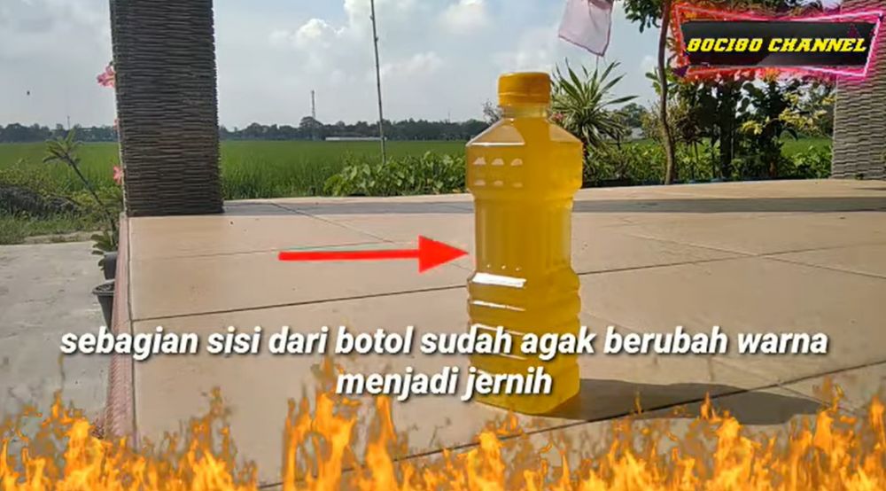Bukan direndam air, begini trik menjernihkan minyak goreng yang mengendap dan keruh
