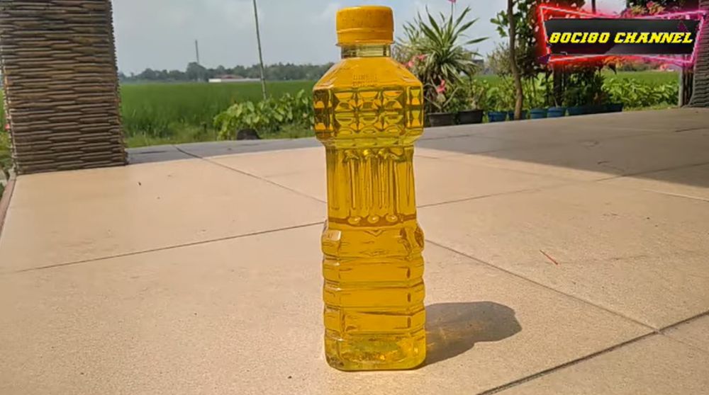 Bukan direndam air, begini trik menjernihkan minyak goreng yang mengendap dan keruh