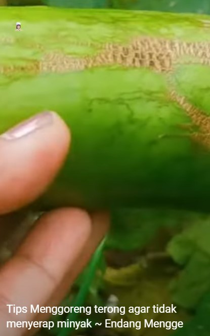 Tanpa bahan tambahan, begini cara menggoreng terong supaya tak menyerap banyak minyak