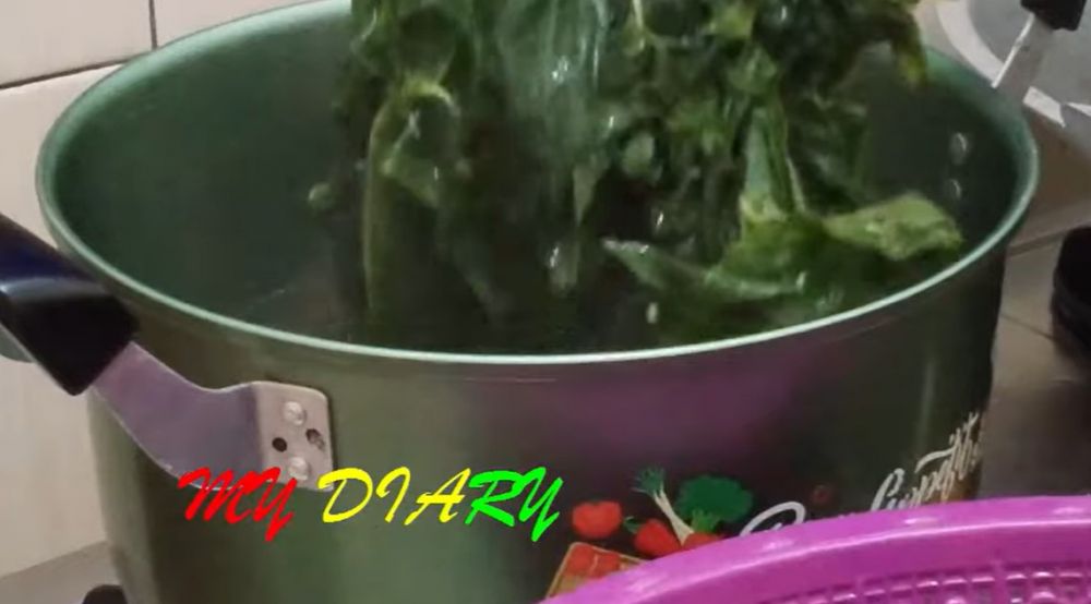 Tak perlu tanah liat, ini trik merebus daun pepaya agar tidak pahit dan warnanya tetap hijau