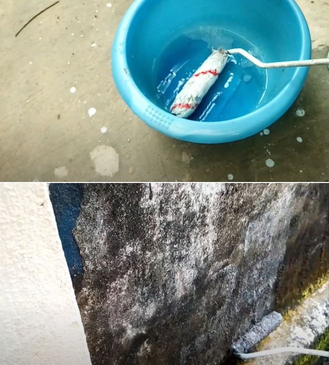 Cara ampuh membersihkan lumut dan kotoran di dinding pakai satu bahan cairan, rumah auto cerah