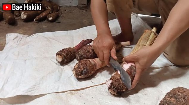 Tanpa perlu direndam larutan garam, ini trik mengolah talas agar semakin legit dan empuk