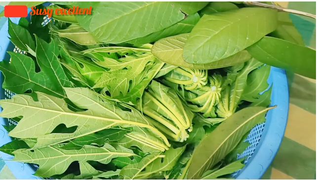 Tanpa garam dan tanah liat, ini trik ampuh menghilangkan rasa pahit di daun pepaya