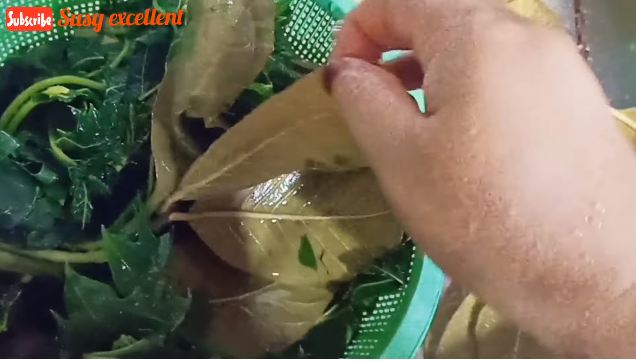 Tanpa garam dan tanah liat, ini trik ampuh menghilangkan rasa pahit di daun pepaya