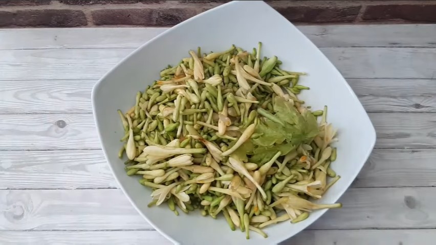 Cara sederhana masak bunga pepaya supaya tetap hijau dan rasa pahitnya berkurang, cukup tambah 1 bahan